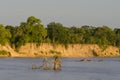 Rufiji river Tanzania