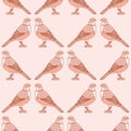 Rufous Bellied Thrush Bird Seamless Vector Pattern