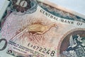 Rufous-vented Chachalaca or Cocrico bird on Trinidad and Tobago banknote