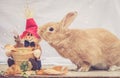 Rufus colored rabbit nudges fall scarecrow decoration