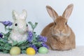 Rufus Rabbit loaf next to purple lilac flowers and Easter Bunny