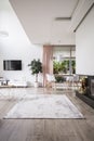 Rug on hardwood floor in a stylish, open space living room inter