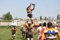 Rugby action - line out Royalty Free Stock Photo