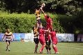 Rugby action - line out Royalty Free Stock Photo