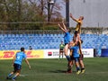 Rugby action - line out Royalty Free Stock Photo