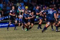 Player Ball Challenge Rugby Greys Outeniqua Royalty Free Stock Photo