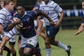 Rugby Action 1st Teams High Schools Royalty Free Stock Photo