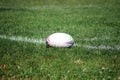 Rugby ball on field