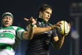 Rugby Celtic League; Benetton vs Connacht