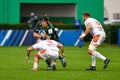 Rugby Heineken Champions Cup Benetton Treviso vs Northampton Saints Royalty Free Stock Photo