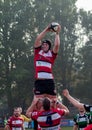 Rugby Line Out