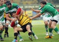 Rugby players fight for ball Royalty Free Stock Photo