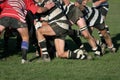 Rugby Scrum Royalty Free Stock Photo