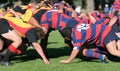 Rugby Scrum, club rugby action Royalty Free Stock Photo