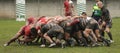 Rugby scrum Royalty Free Stock Photo