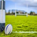 Rugby union ball lying on green grassy pitch with white lines