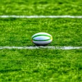 Rugby union ball lying on green grassy pitch with white lines