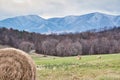 Scenic Blue Ridge Mountain Landscape Royalty Free Stock Photo