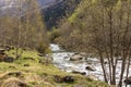 Rugged Beauty: Capturing the Majesty of a Wild River Flowing Through Cantabria\'s Northern Forest