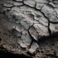 Rugged Beauty: A Close-Up of a Weathered and Cracked Surface