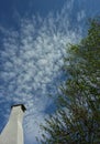 A rugged chimney and a green tree Royalty Free Stock Photo