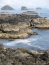 Rugged cliffs and shoreline. The Wild Pacific Trail, Ucluelet, BC, Canada Royalty Free Stock Photo