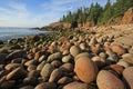 The rugged coast of Acadia National Park, Maine.