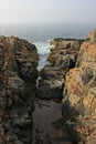 The rugged coast of Acadia National Park, Maine.