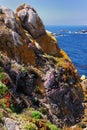 Rugged Coast of Pt Lobos