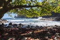 Rugged coast and surf at onomea bay hawaii