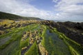 Rugged Coastline in Ireland Royalty Free Stock Photo