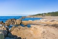 The rugged coastline of the Pacific Ocean, Point Lobos State Natural Reserve, Carmel-by-the-Sea, Monterey Peninsula, California Royalty Free Stock Photo