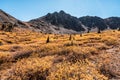 Autumn in the Colorado Rocky Mountains, Sawatch Range Royalty Free Stock Photo