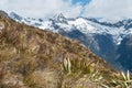 Rugged Darran Mountains from Routeburn Track