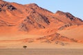 Rugged dune landscape - Namib desert Royalty Free Stock Photo