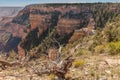 Rugged Grand Canyon Landscape Royalty Free Stock Photo