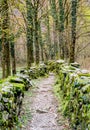 Rugged hiking path through thick forest covered in vines and plants and flanked by traditional old dry rock walls covered in lush