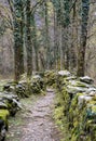 Rugged hiking path through thick forest covered in vines and plants and flanked by traditional old dry rock walls covered in lush