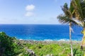 Rugged and jagged coastal feature of coral along Togo Chasm coast with Pacific Ocean beyond in Niue