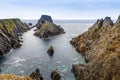 Rugged landscape at Malin Head, County Donegal, Ireland. Beach with cliffs, green rocky land with sheep on foggy cloudy Royalty Free Stock Photo