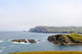 Rugged landscape at Malin Head, County Donegal, Ireland. Beach with cliffs, green rocky land with sheep on foggy cloudy Royalty Free Stock Photo