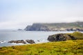 Rugged landscape at Malin Head, County Donegal, Ireland. Beach with cliffs, green rocky land with sheep on foggy cloudy Royalty Free Stock Photo