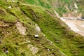 Rugged landscape at Malin Head, County Donegal, Ireland. Beach with cliffs, green rocky land with sheep on foggy cloudy Royalty Free Stock Photo