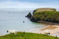 Rugged landscape at Malin Head, County Donegal, Ireland. Beach with cliffs, green rocky land with sheep on foggy cloudy Royalty Free Stock Photo