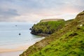 Rugged landscape at Malin Head, County Donegal, Ireland. Beach with cliffs, green rocky land with sheep on foggy cloudy Royalty Free Stock Photo