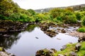 Rugged landscape at Malin Head, County Donegal, Ireland. Beach with cliffs, green rocky land with sheep on foggy cloudy Royalty Free Stock Photo