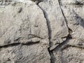 Rugged limestone_near Royalty Free Stock Photo