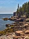 Rugged Maine Coastline in Acadia National Park