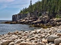 Rugged Maine Coastline in Acadia National Park