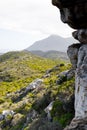 Rugged mountain landscape with fynbos flora in Cape Town